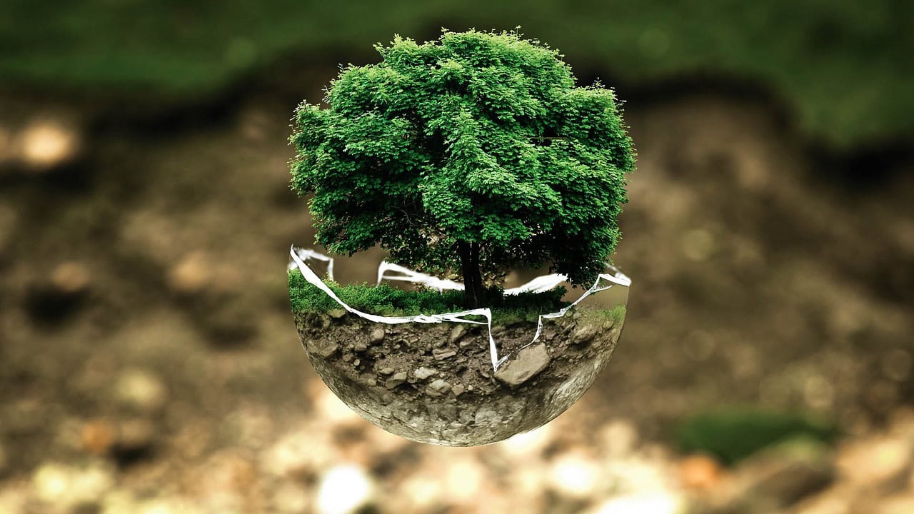 Wurzer Umwelt