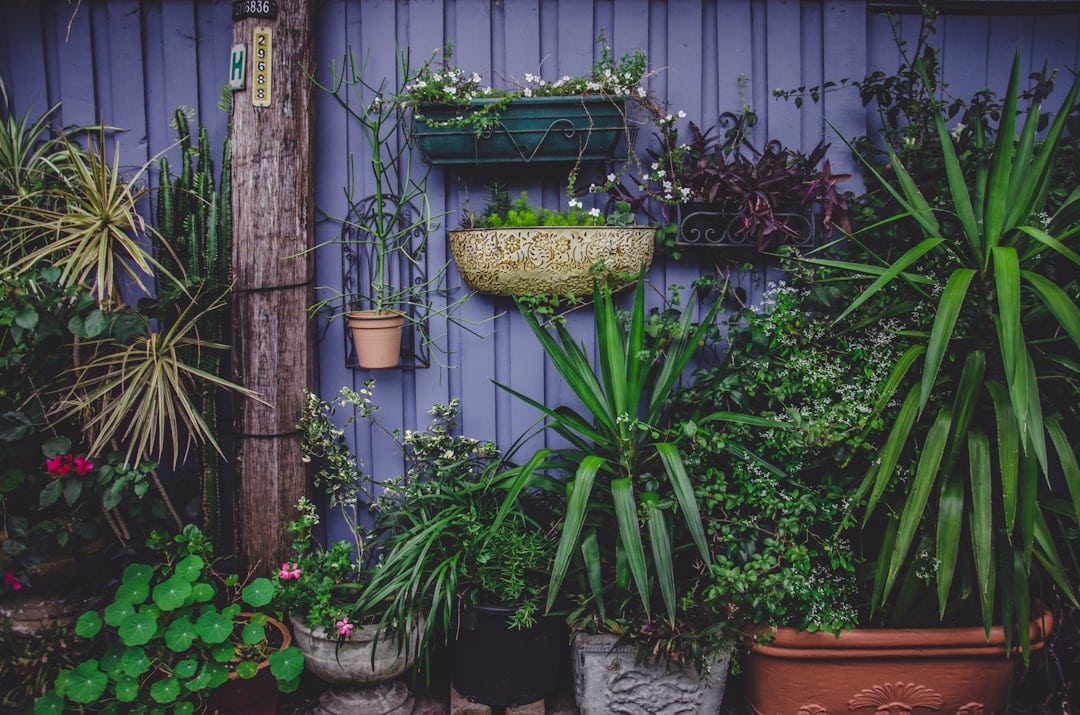 Photo Vertical garden