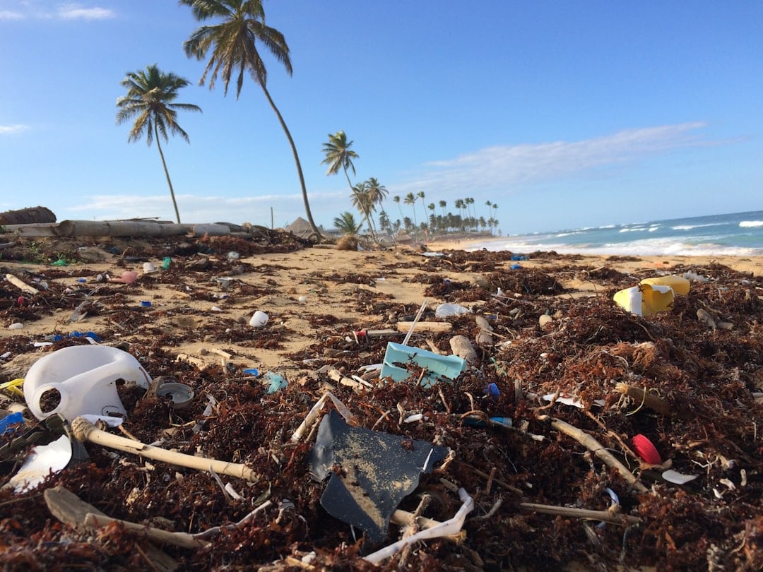 Photo Plastic pollution